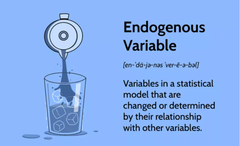 What Is Endogenity?